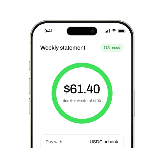 Flexible repay and dynamic limits statement